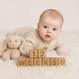 Milestone Baby Block Set