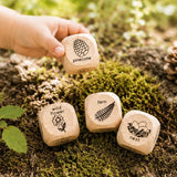 Nature Scavenger Hunt Dice