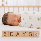 Milestone Baby Block Set
