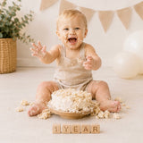 Milestone Baby Block Set