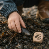 Ocean Scavenger Hunt Dice